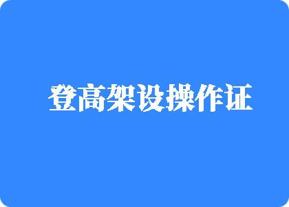 骚鸭AV登高架设操作证